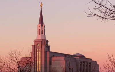 How the TV Show "Finding Your Roots" Added to My Temple Experience