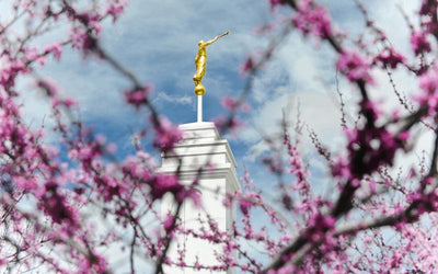 Finding the "Real World" in the Temple