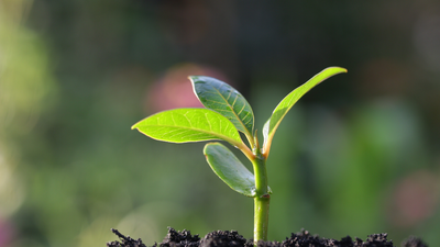 5 Ways to Seek and Expect Miracles