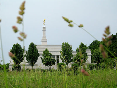 How the Temple Elevates Your Perspective