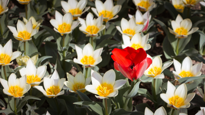 Gaining an Understanding of Individual Divine Worth