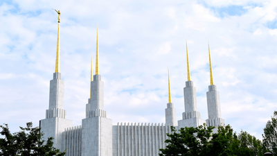 Don’t Delay, Make a Plan Today