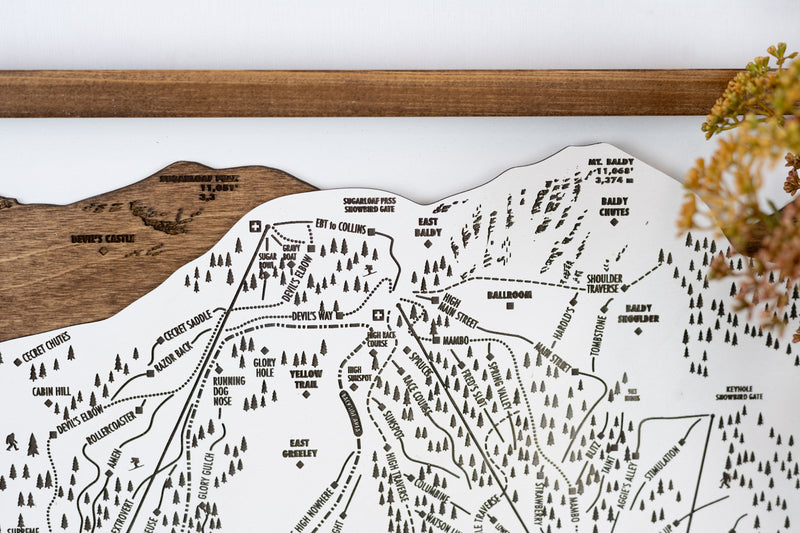 Alta Ski Resort Map Sign | Laser Engraved & Framed Wall Art