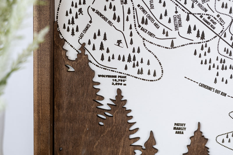 Alta Ski Resort Map Sign | Laser Engraved & Framed Wall Art