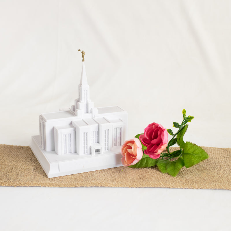 The Cebu City Philippines Temple Music Light