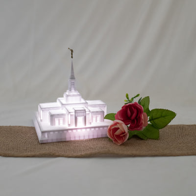 Elko Nevada Temple Music Light