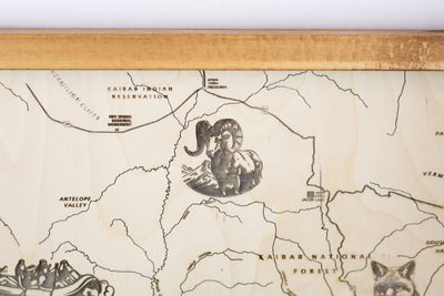 Grand Canyon Topo Map Sign | Laser Engraved & Framed Wall Art