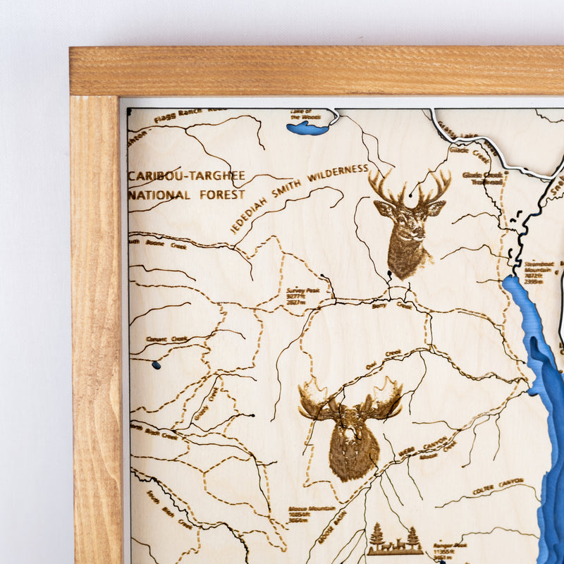 Grand Teton National Park Topo Map Sign | Laser Engraved & Framed Wall Art