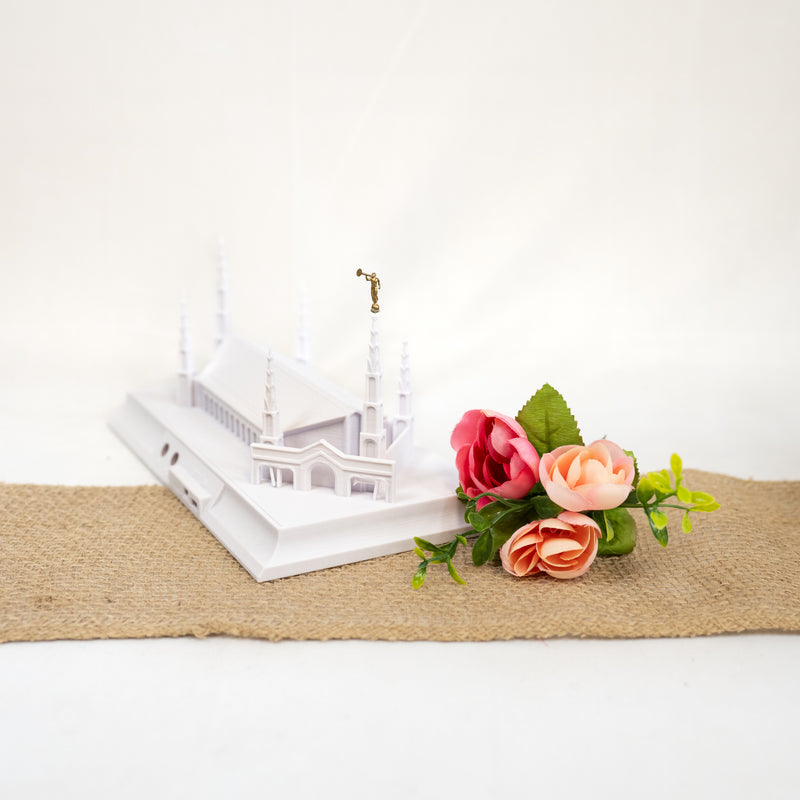 Johannesburg South Africa Temple Music Light