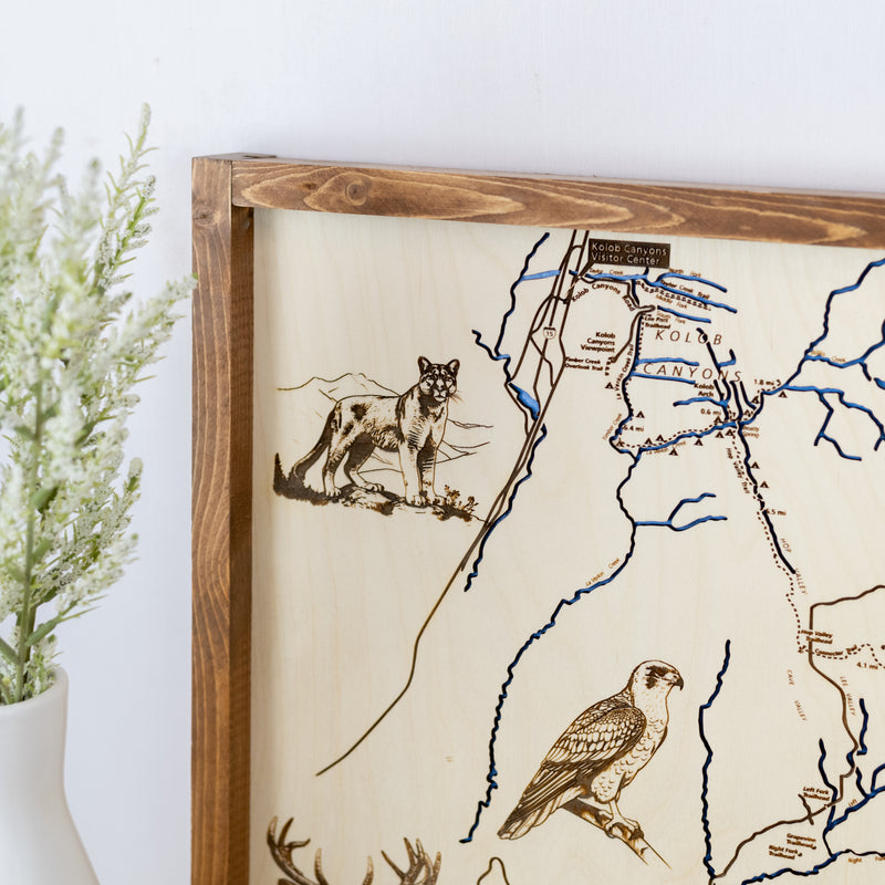 Zion National Park Topographic Map Sign | Laser Engraved & Framed Wall Art