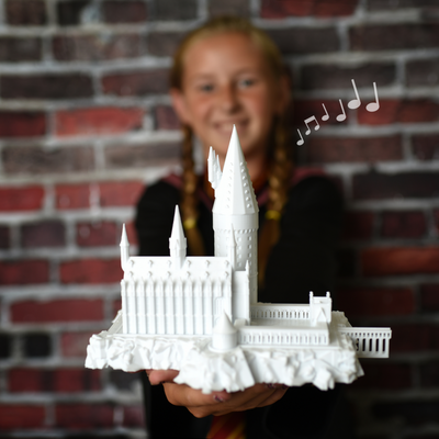 Wizard Castle Music Light